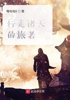 行走诸天的旅行者
