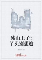 冰山王子爱上傻丫头