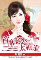 全球盛宠小萌妻 百度