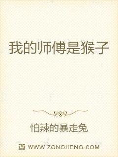 我的师傅是孙悟空