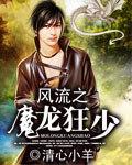 风流狂少简介