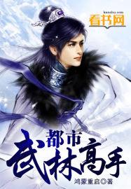 武林高手在都市苏锐