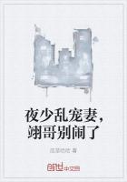 夜少乱宠妻，翊哥别闹了