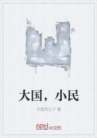 大国，小民