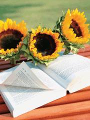 只要宝宝不要妈