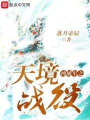 神域军之天境战役