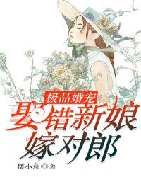 极品婚宠：娶错新娘嫁对郎
