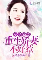 左皇霸爱：重生娇妻不好惹