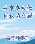 从市委大秘到权力之巅小说短剧