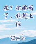 去把婚离了再去死小说男主厉