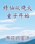 修仙从烧火童子开始