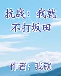 抗战：我就不打坂田小说下载